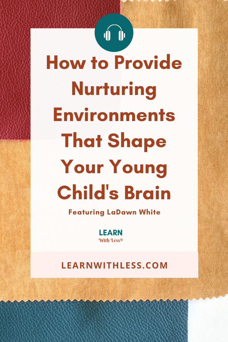 How to Provide Nurturing Environments That Shape Your Young Child\'s Brain, with LaDawn White